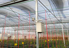 河南溫室環境采集控制系統（3S）