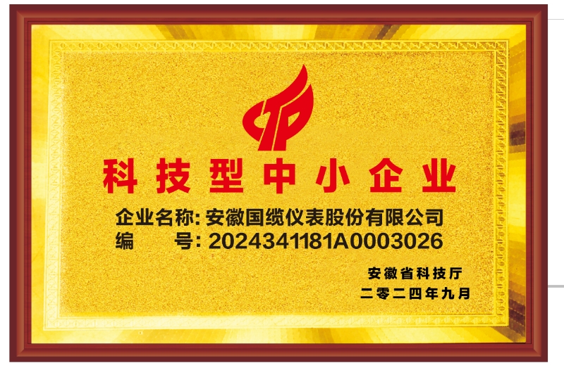 科技型中小企業(yè)